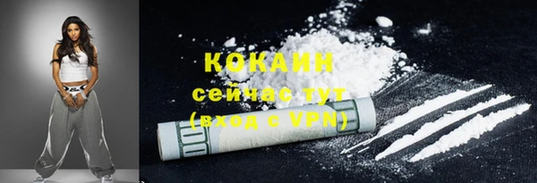 прущий лед Алзамай