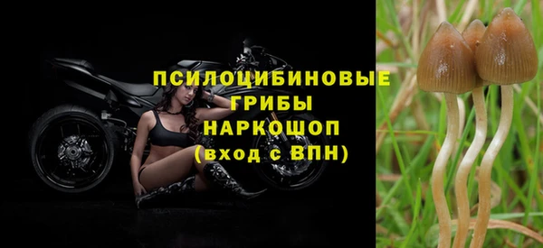 ПСИЛОЦИБИНОВЫЕ ГРИБЫ Алексеевка