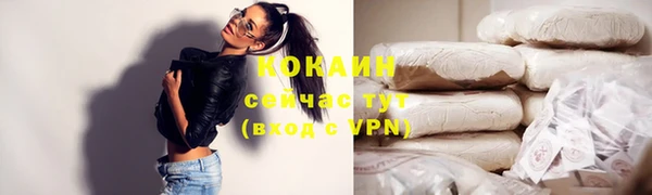 прущий лед Алзамай