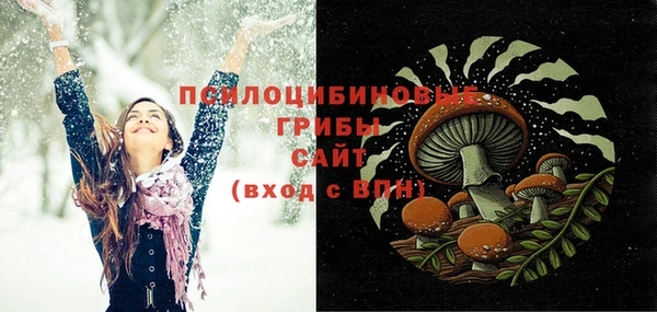 эйфоретик Пестово