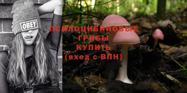 ПСИЛОЦИБИНОВЫЕ ГРИБЫ Алексеевка