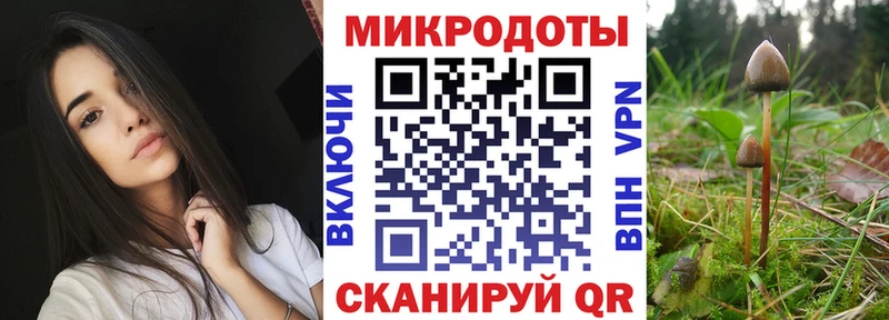 Галлюциногенные грибы мухоморы  Лесосибирск 